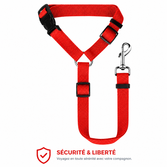 Ceinture de sécurité voiture pour chien