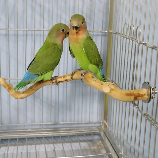 Perchoir naturel en bois pour oiseaux