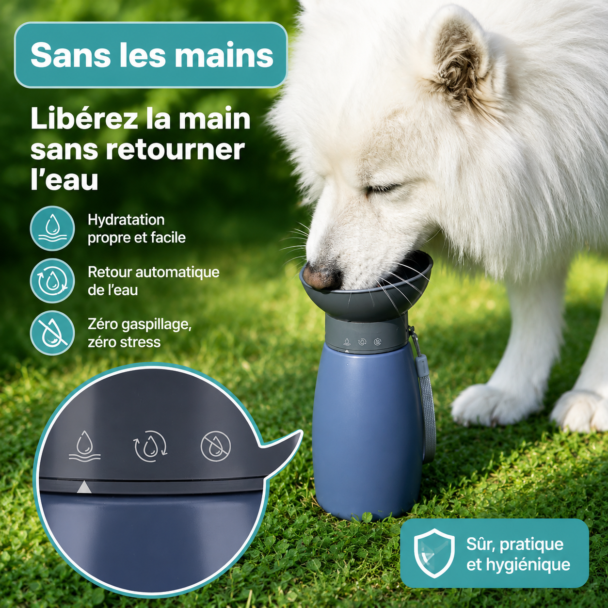 Gourde portable 600 ml pour chien