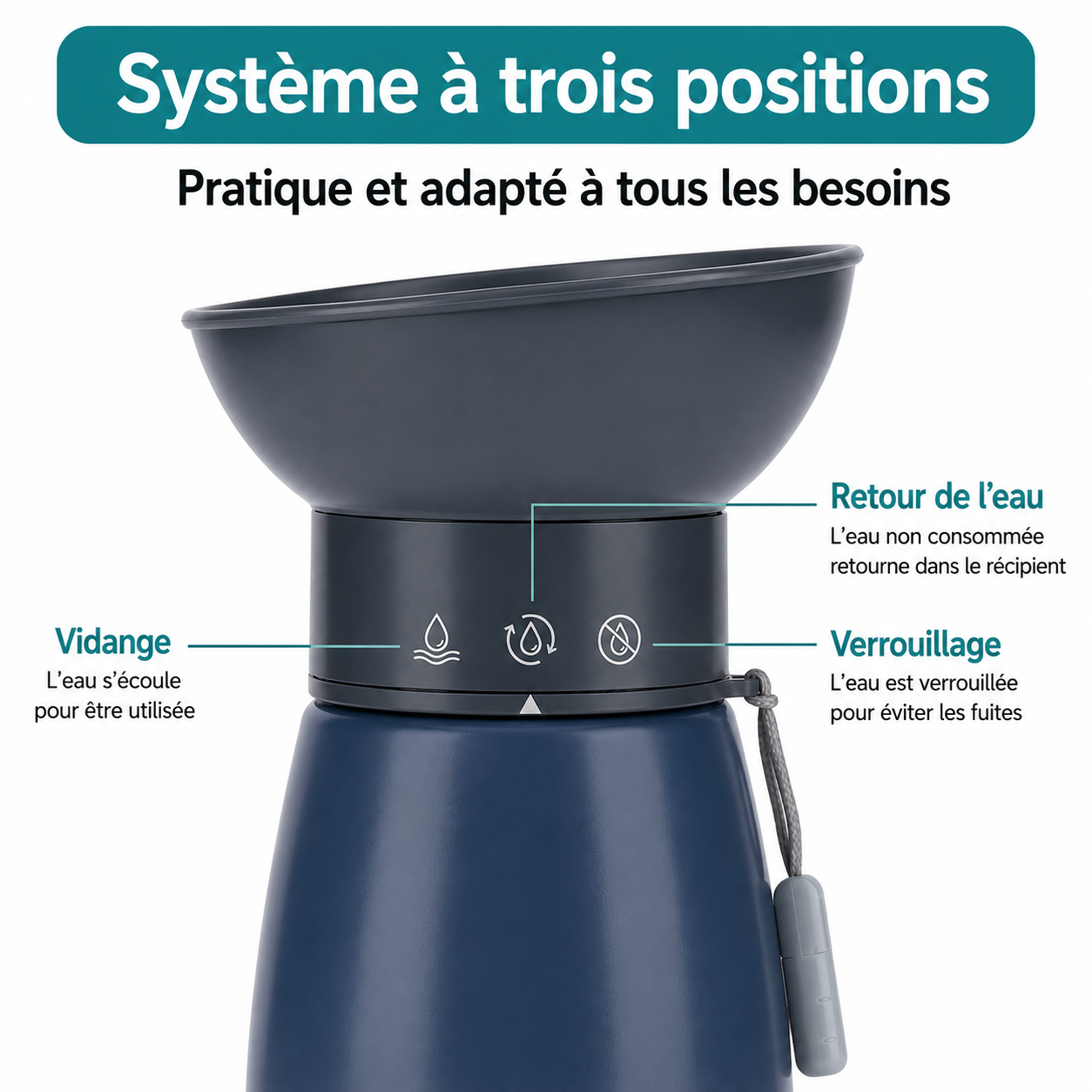 Gourde portable 600 ml pour chien