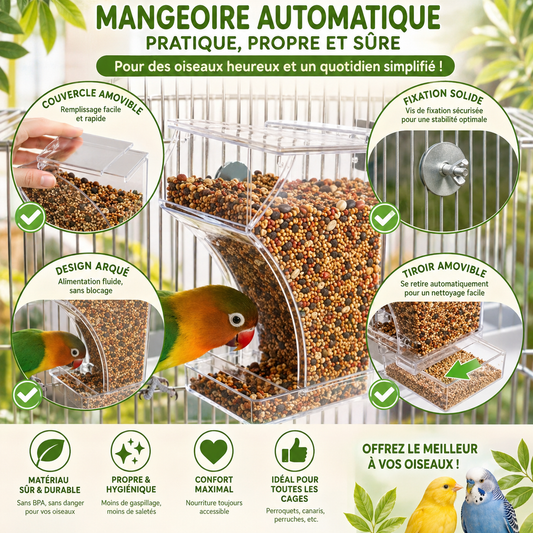 Mangeoire anti-gaspillage pour oiseaux