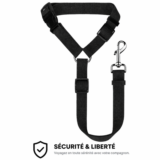 Ceinture de sécurité voiture pour chien