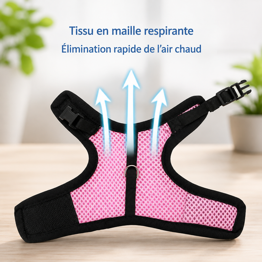 Harnais et laisse réglables pour lapin