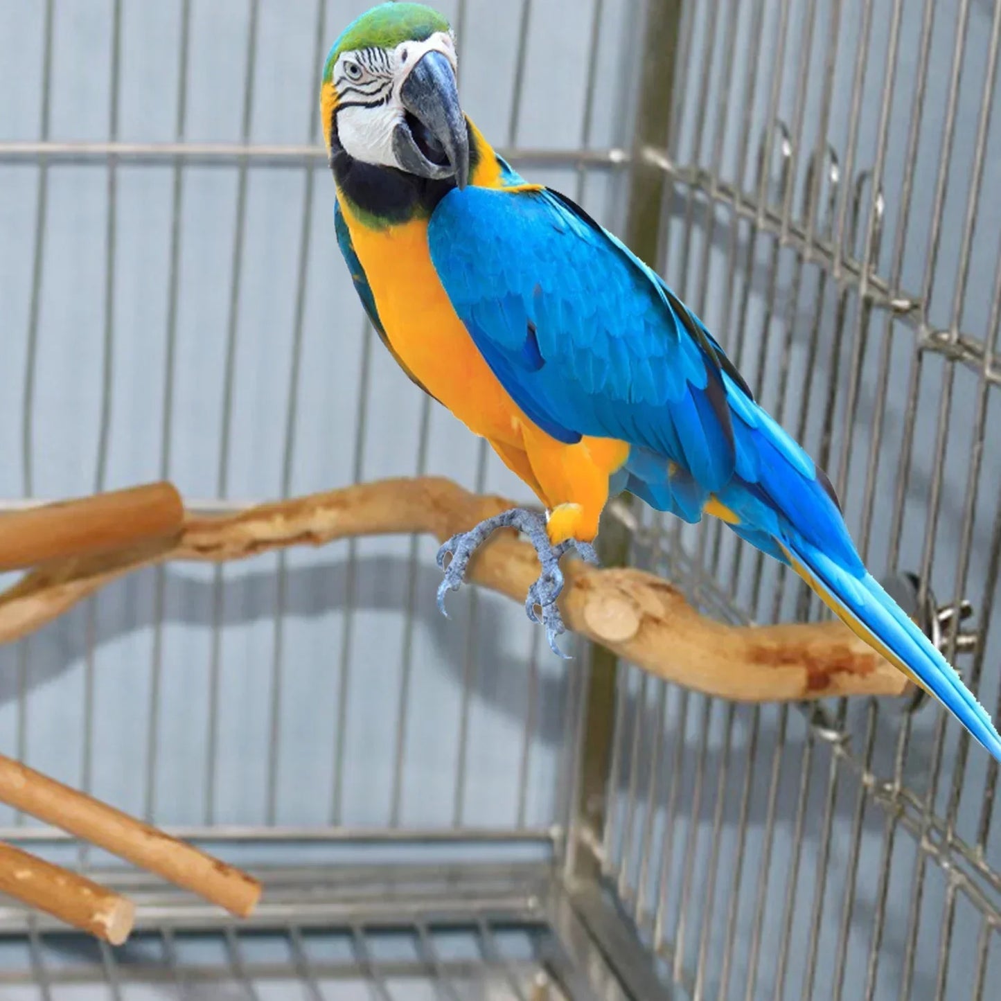 Perchoir naturel en bois pour oiseaux