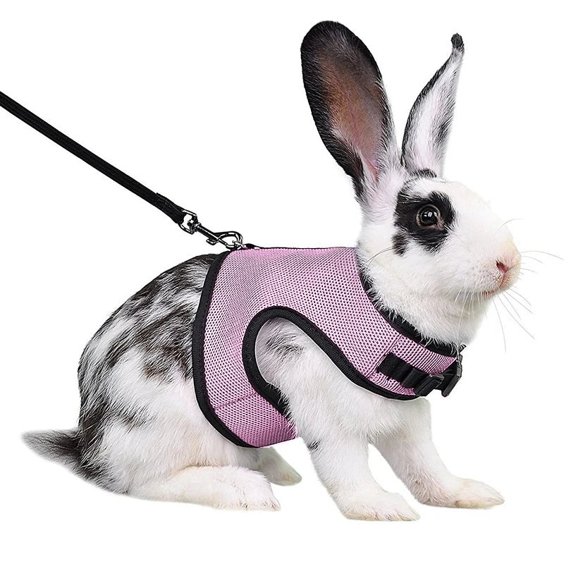 Harnais et laisse réglables pour lapin