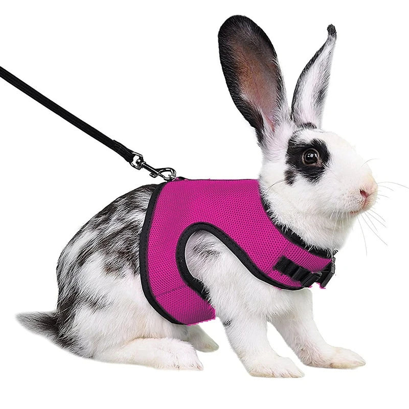 Harnais et laisse réglables pour lapin