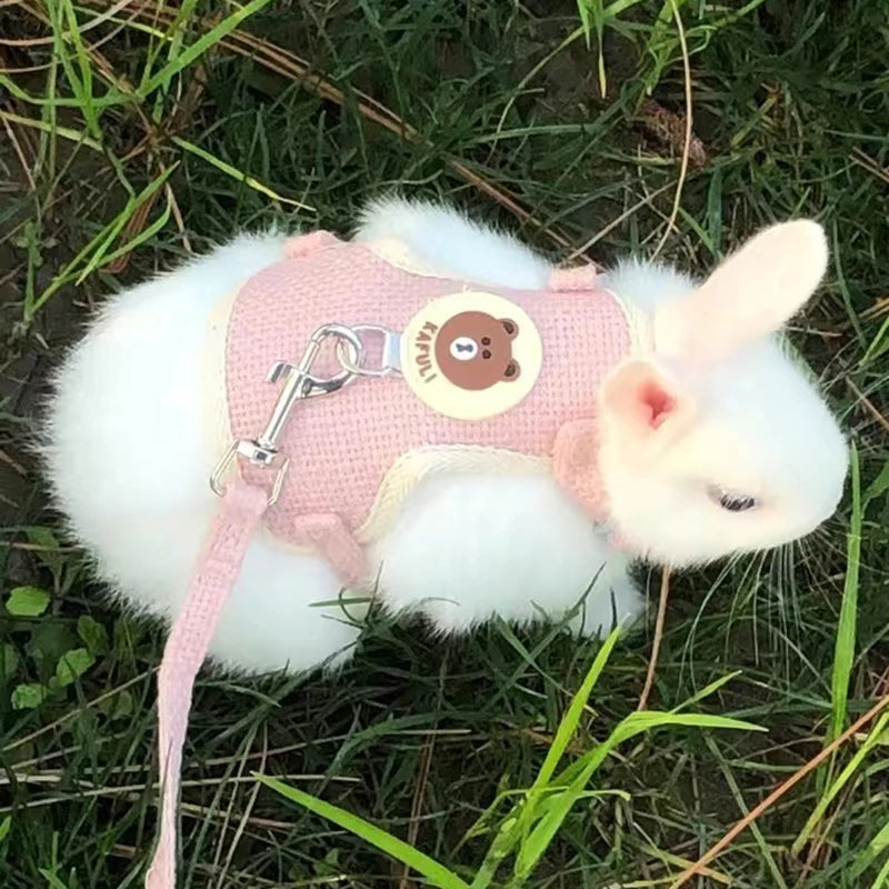 Harnais et laisse à motif pour lapin et chat