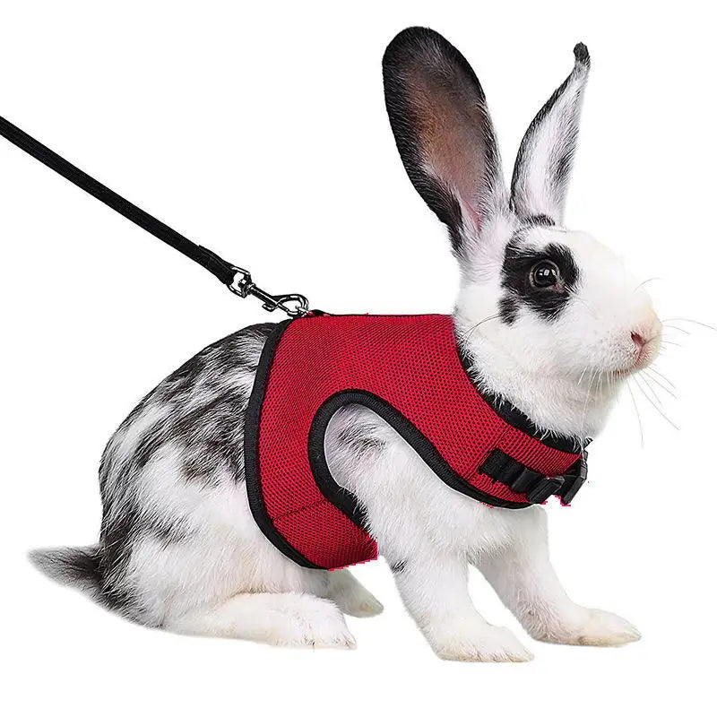 Harnais et laisse réglables pour lapin