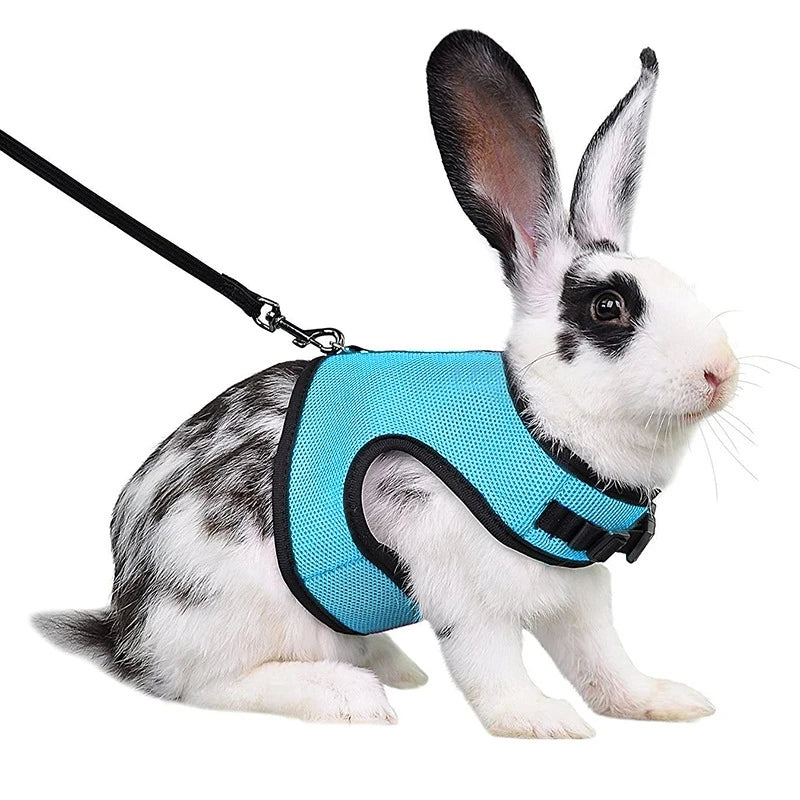 Harnais et laisse réglables pour lapin
