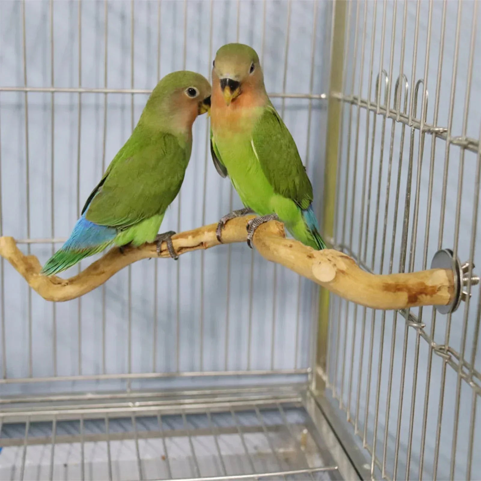 Perchoir naturel en bois pour oiseaux